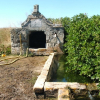 The restoration of Fontana Cilivestri (Matera)