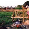 Bamboo Treadle pump