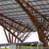 Using Bamboo in building construction: experimental analysis